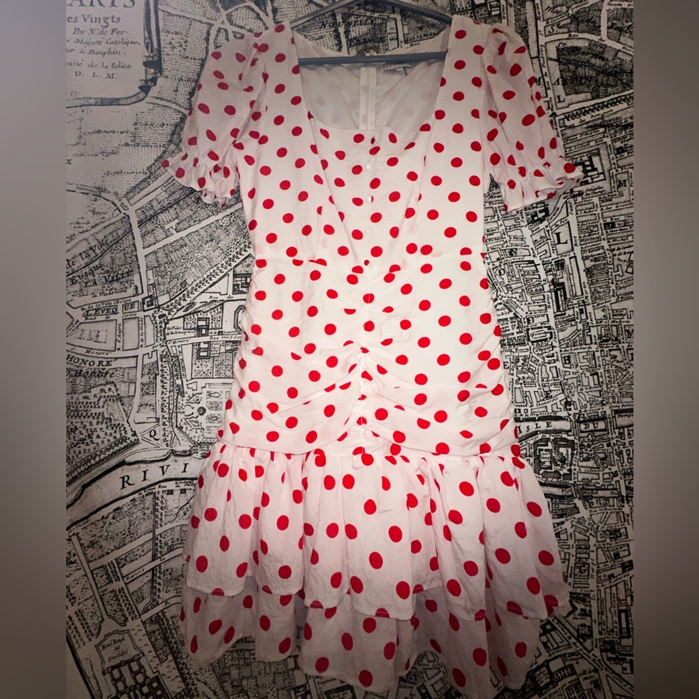 Endless rose polka dot dress